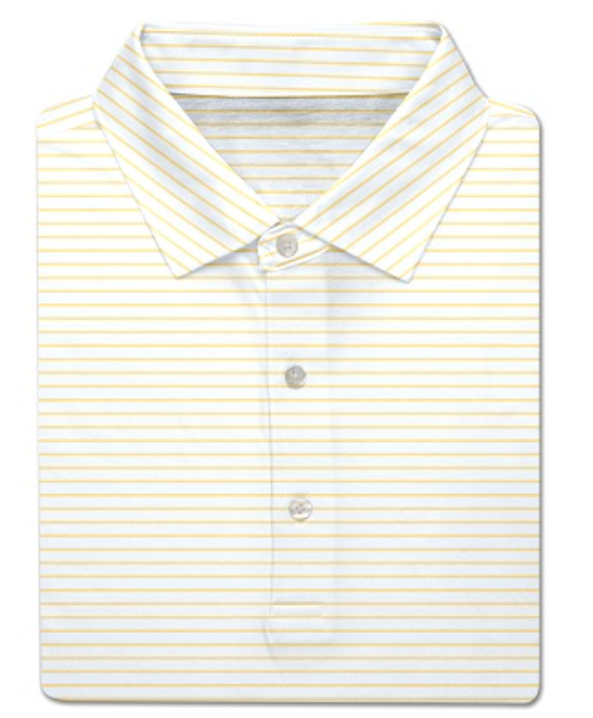 Turtleson Men's Polo - Dylan Stripe Polo