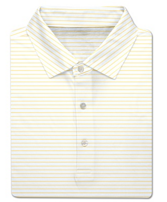 Turtleson Men's Polo - Dylan Stripe Polo
